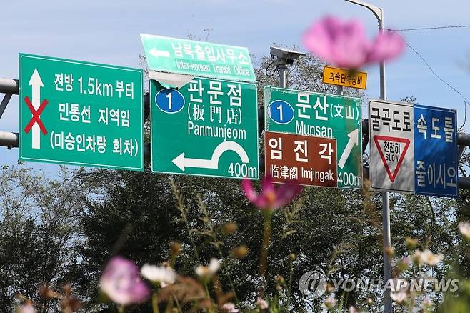 코스모스 활짝 핀 '판문점 가는 길' (파주=연합뉴스) 임병식 기자 = 26일 경기도 파주시에서 판문점으로 이어진 도로에 코스모스가 활짝 피어 있다. 
    지난 25일 김여정 북한 노동당 부부장이 남북정상회담과 종전선언 등을 논의할 수 있다며 담화를 발표하면서, 문재인 정부의 임기 말 남북관계 회복에 관심이 쏠리고 있다. 2021.9.26 andphotodo@yna.co.kr