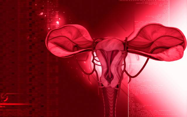 질염 재발로 고생하고 있다면 질 유산균제를 복용하는 게 도움이 될 수 있다./사진=클립아트코리아