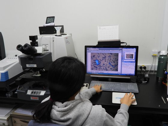 한국해양과학원 연구진이 현미경으로 미세플라스틱을 관찰하는 모습. 강찬수 기자