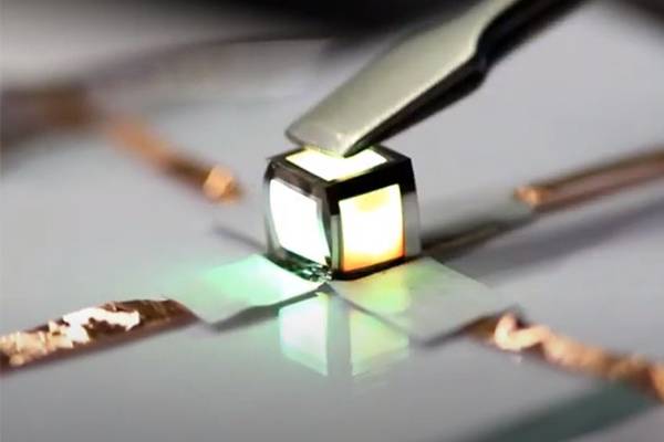 [Source: Institute for Basic Science (IBS)]