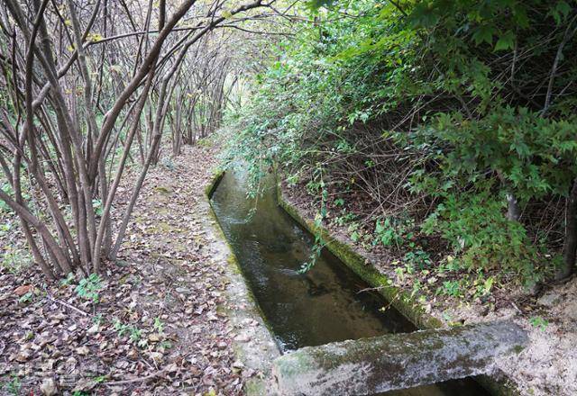 용호강과 척야산문화수목원 사이 동창보 수로.