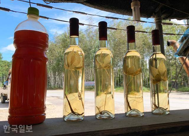 아홉사리재 고갯마루 간이식당에 직접 담근 술이 진열돼 있다.