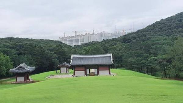 김포 장릉 근처에서 건립 중인 아파트 [문화재청 제공]