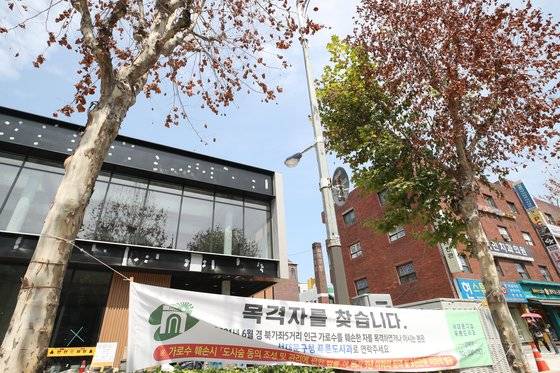 지난 16일 오후 서울 서대문구 응암로 한 커피전문점 드라이브스루 매장 공사 현장 앞 가로수 세 그루가 갈변한 채 말라 죽어 있다. 연합뉴스
