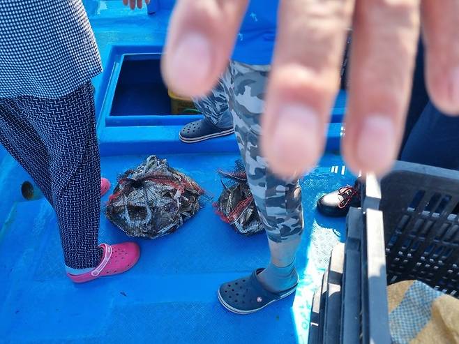 경기도 특사경 단속 현장. (사진=경기도 제공) *재판매 및 DB 금지