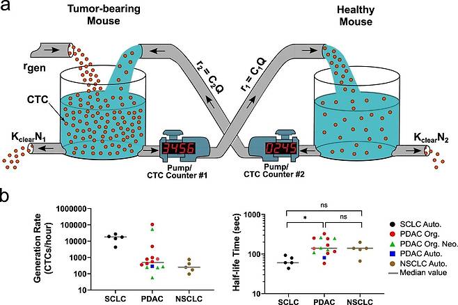 CTCs 계수기 그래픽 [저널 '네이처 커뮤니케이션스' 논문 캡처 / 재판매 및 DB 금지]