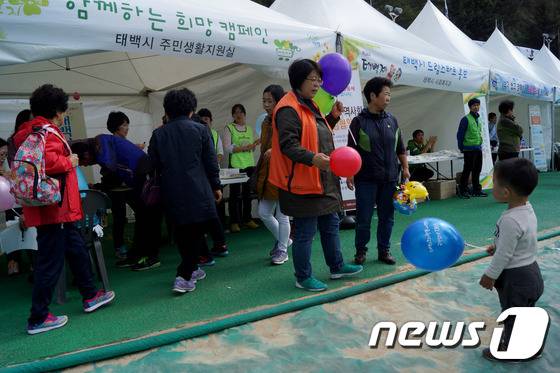 2015년 진행됐던 태백제 행사 자료사진. (뉴스1 DB)