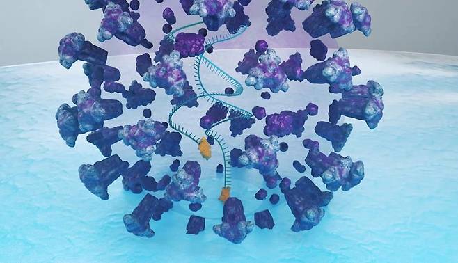 면역세포에 침투하는 에이즈 바이러스. /화학연 제공