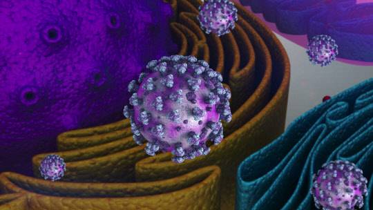 화학연은 26년 전 개발하기 시작한 에이즈 바이러스 치료제 후보물질(KM-023)이 국내 신약개발 기업인 카이노스메드에 기술이전을 통해 중국에서 치료제로 시판 허가를 받았다. 사진은 에이즈 바이러스의 인체 내 증식하는 모습. 화학연 제공