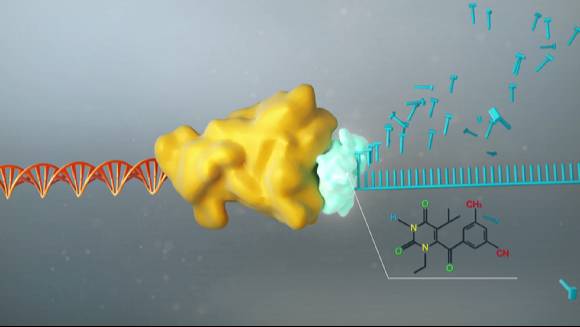 우리나라 연구팀이 역전사 효소 기능을 막는 치료제를 개발했다. [사진=화학연]