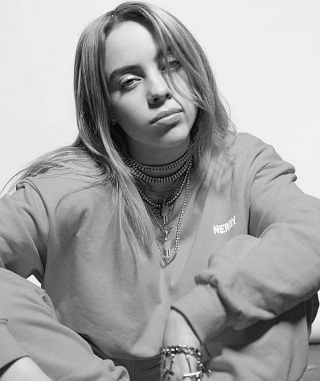 美팝스타 '빌리 아일리시'가 개인 SNS에 입고 나와 화제가 되었던 널디 스웻셔츠. (/빌리 아일리시 인스타그램 캡처)