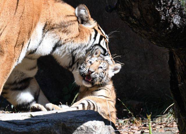 "엄마 나 좀 내버려둬요~"