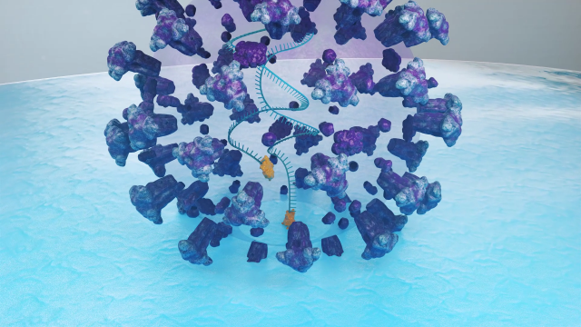 한국화학연구원이 발굴한 후보물질로 개발한 에이즈 바이러스 치료제 메커니즘 3D 이미지 /사진 제공=한국화학원구원