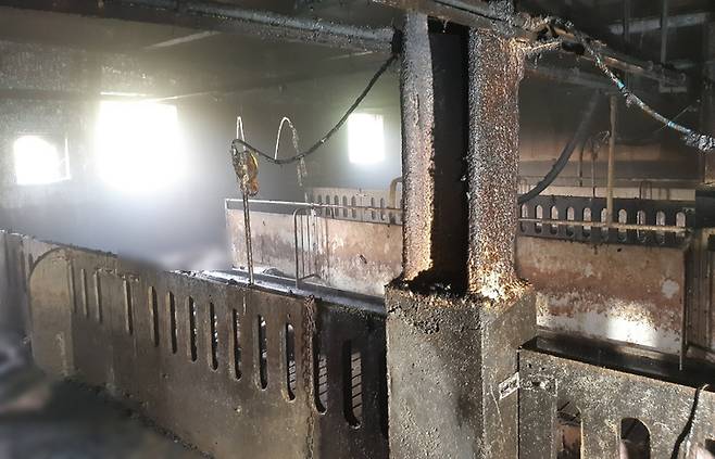 [광주=뉴시스] 김혜인 기자 = 1일 오전  전남 무안군 청계면 한 돼지 축사에서 불이 나 소방당국이 안전 조치를 마친 상태다. (사진=무안 소방 제공) 2021.10.01.photo@newsis.com *재판매 및 DB 금지