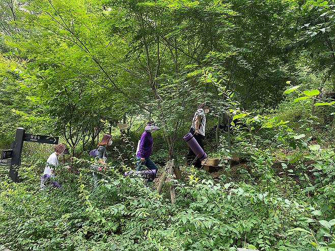 서울 양천구의 산림치유프로그램 활동 장면.양천구 제공