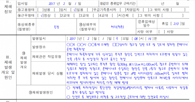 기업이 제출하는 산재조사표 예시문./사진제공=고용부