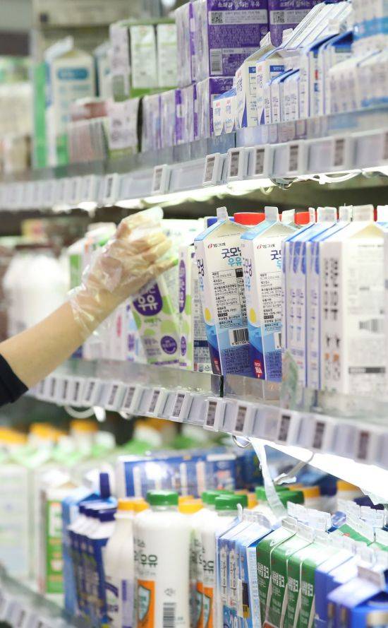 사진은 지난달 27일 서울 한 대형마트에서 판매 중인 우유. [이미지출처=연합뉴스]