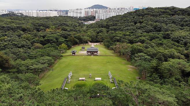 김포 장릉 봉분 위에서 드론으로 촬영한 모습. 정면에 높이 솟은 아파트가 보인다. /이경호 영상미디어 기자