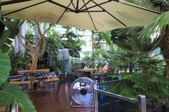 백련지 온실에서 차를 마실 수 있는 백련카페.