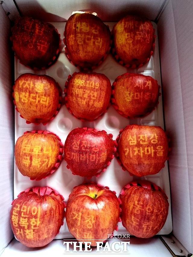 지난주 경남 거창군이 '코로나19 힘내서 극복하자'며 전남 곡성군에 보낸 응원의 '사과 박스' / 곡성군 제공