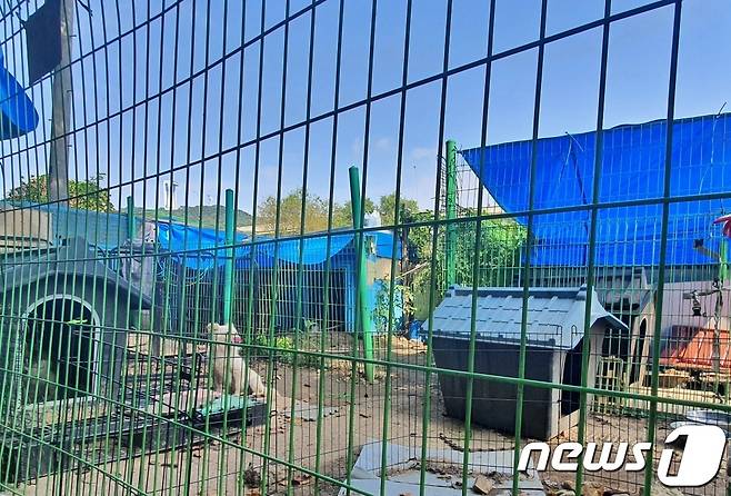 3일 인천 중구 영종역 인근에 있는 견사. 시민들이 자발적으로 나서서 애니멀 호더로부터 구조한 개들을 돌보고 있다. © 뉴스1 최서윤 기자