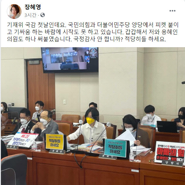 (사진=장혜영 정의당 의원 페이스북 갈무리)