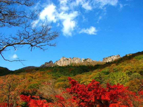 내장산 서래봉은 단풍철인 10~11월 매일 520명만 예약자에 한해 올라갈 수 있다. 사진 국립공원공단