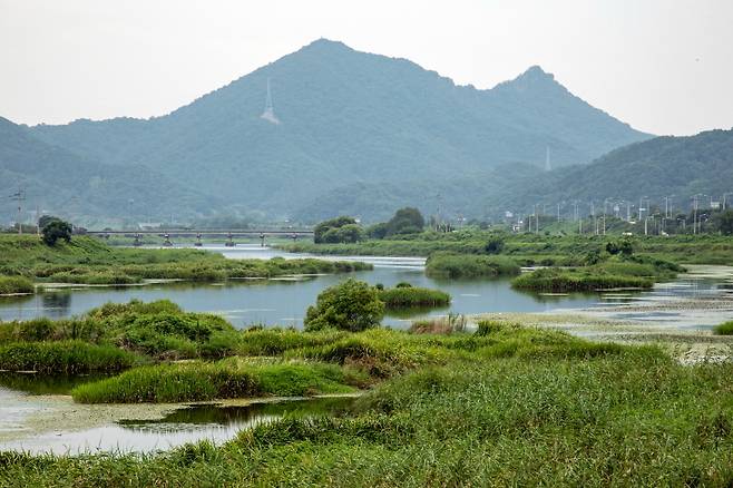 수심 얕은 강줄기는 여기저기 습지를 만든다