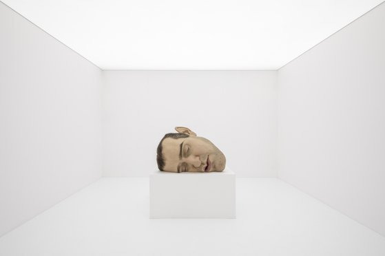 론 뮤익, 마스크 Ⅱ,2002, 혼합재료, 77 x 118 x 85 cm. 개인 소장 © Ron Mueck 한도희 퐐영. [사진 리움]