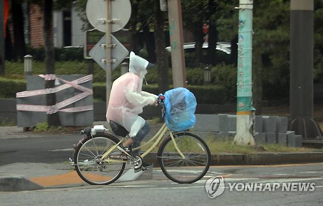 비에 젖지 않겠지 [연합뉴스 자료사진]