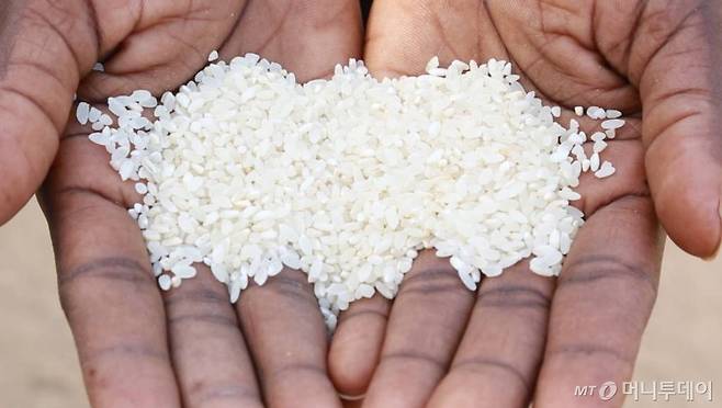 농진청(아프리카)