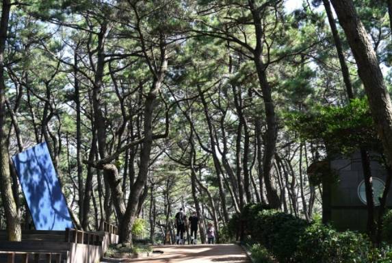 암남공원은 20분~70분 코스로 걸을 수 있다.