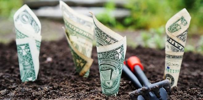 미국 최대 투자은행 모건스탠리는 미국 증시 변동성이 큰 만큼 아시아 고배당주에 투자하는 전략을 추천했다. / 사진=픽사베이