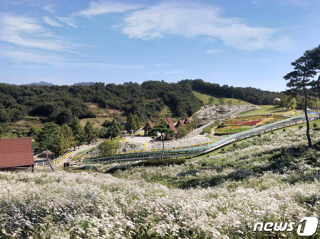 전북 임실군 임실치즈테마파크에 다양한 가을꽃이 만개해 있다.2021.10.11/© 뉴스1