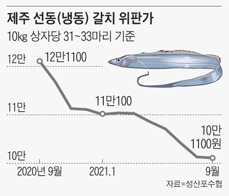 제주 선동(냉동) 갈치 위판가