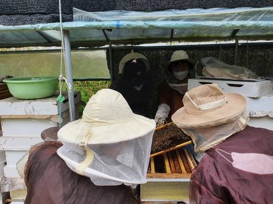 정신장애를 가진 양봉 훈련생들이 경기도 화성에 있는 자연과함께하는농장에서 임준하 상임이사와 호흡을 맞추면서 꿀벌의 겨울나기를 준비하고 있다. 경기 화성=강주안 기자