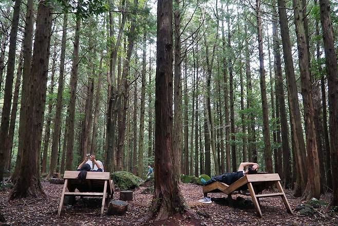 서귀포 치유의숲 ‘숲멍’ 쉼팡