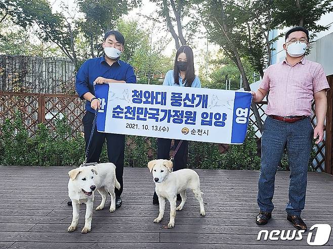 청와대에서 온 풍산개. 왼쪽이 숫컷 가을이, 오른쪽이 암컷 아름이© 뉴스1