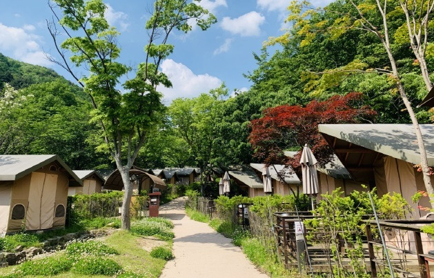 삼가야영장 전경 (사진=소백산국립공원사무소 제공) *재판매 및 DB 금지