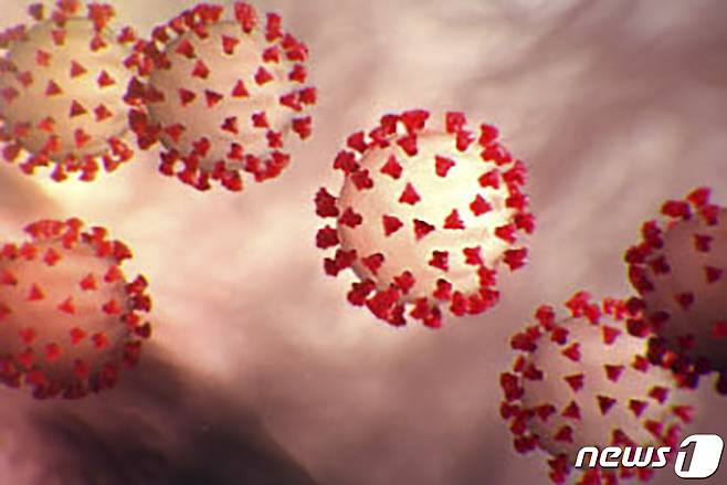 미국 질병통제예방센터(CDC)가 만든 신종 코로나바이러스 이미지 © AFP=뉴스1