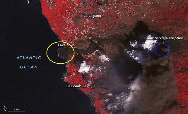 지난 10일 나사가 우주정거장에서 특수 카메라로 촬영했다며 공개한 라팔마섬 사진. 용암과 바다가 만나 새로 생긴 땅(노란 원)과 화산(파란 원)을 확인할 수 있다. /나사