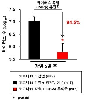 코로나19 감염병 동물모델에 iCP-NI 투여 결과. 자료 제공=셀리버리