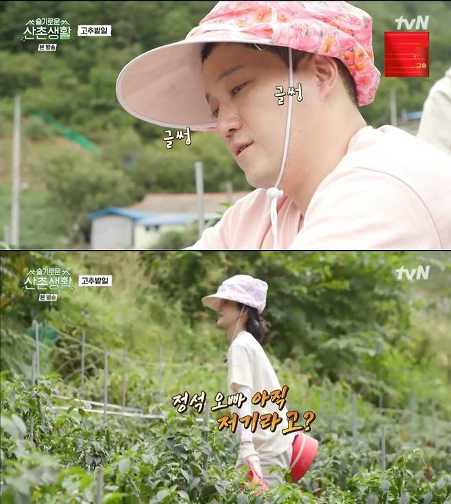 tvN 방송 캡처