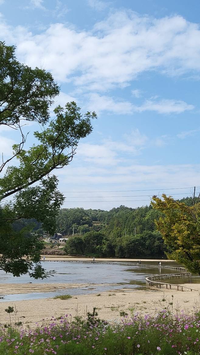 A view of Yeongju’s Museom Village and the single log bridge (Kim Hae-yeon/ The Korea Herald)