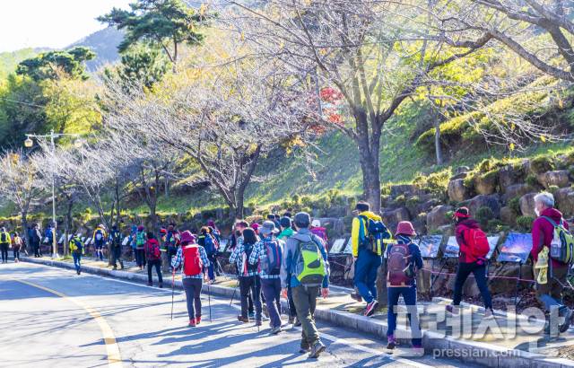 ▲창녕군 창녕읍 화왕산 자하곡에서 창녕 사진협회 회원 30주년 특별 회원전을 열어 전시하고 있다ⓒ프레시안(이철우)