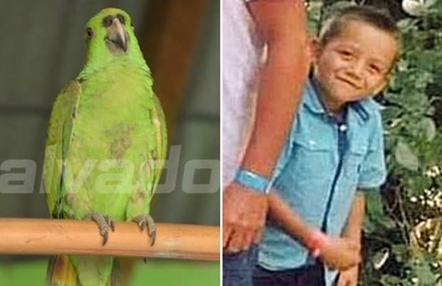 남미 엘살바도르 일가족의 아메리칸드림이 비극으로 끝났다. 11일 엘살바도르닷컴은 브로커에게 돈을 주고 미국 국경을 넘으려던 일가족이 브로커에게 살해당했다고 보도했다./사진=엘살바도르닷컴