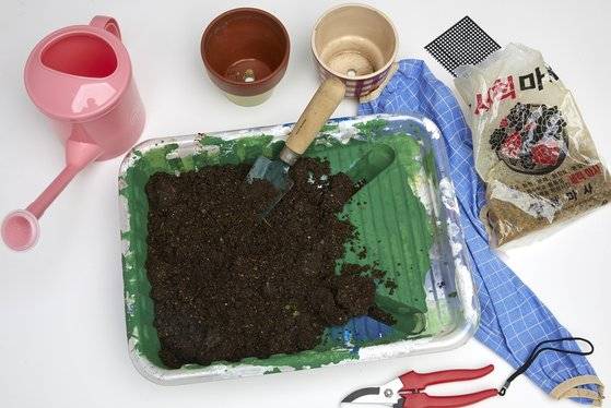 분갈이에 필요한 준비물. (왼쪽부터 시계방향으로) 물뿌리개, 분갈이용 화분, 화분망, 마사토, 팔토시, 원예용 가위, 분갈이용 흙.
