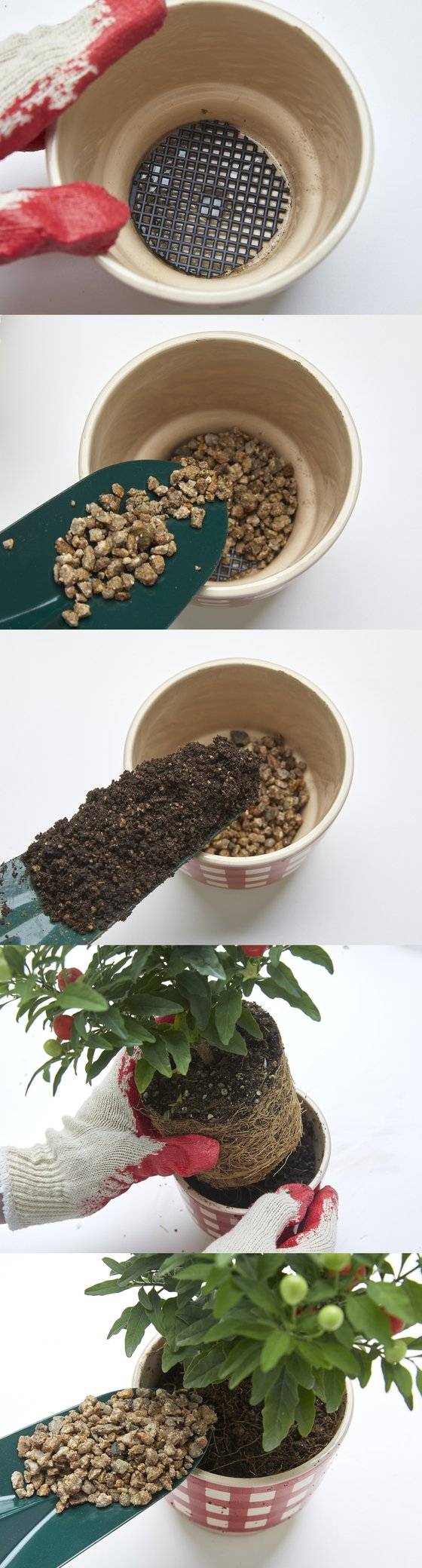 분갈이는 화분 바닥에 화분망과 마사토를 넣어 배수층을 만드는 것이 시작이다. 이후 분갈이용 흙과 화초를 넣고 다시 마사토를 덮어서 마무리한다.