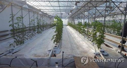 스마트팜 [농업기슬실용화재단 제공]