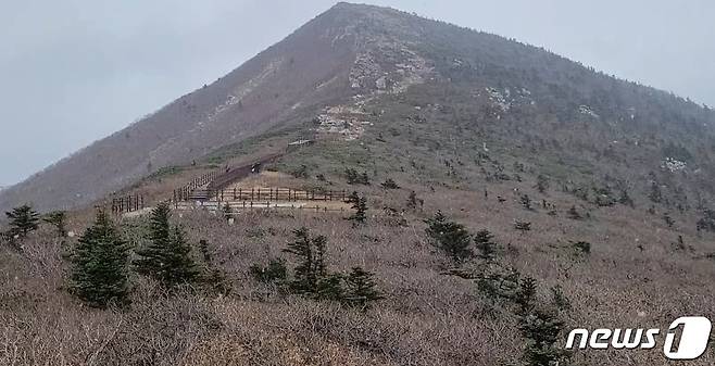 올 가을 첫 눈발이 흩날리고 있는 설악산 중청대피소 일대.(설악산국립공원사무소 제공) 2021.10.19/뉴스1